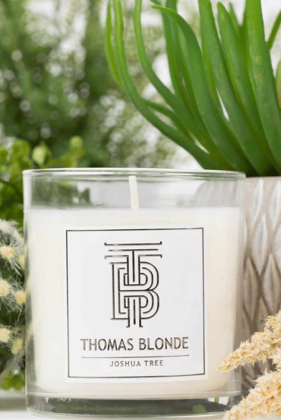 Joshua Tree 12oz Candle